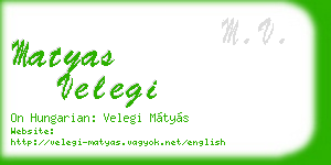 matyas velegi business card