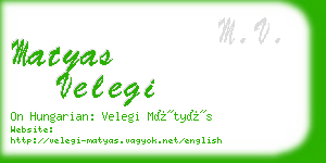 matyas velegi business card